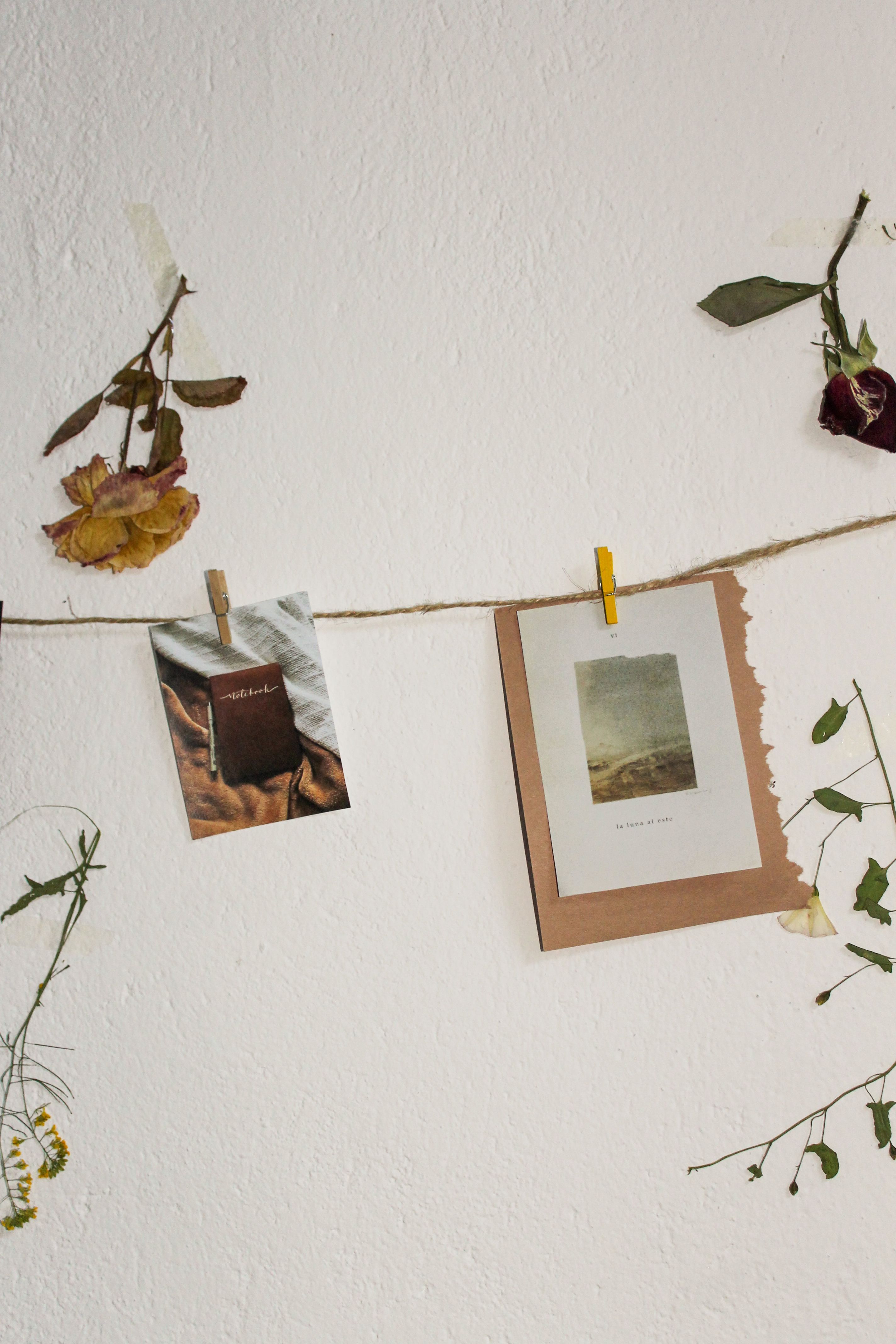 A creative display of dry flowers and framed pictures on a string, evoking an artistic still life style.