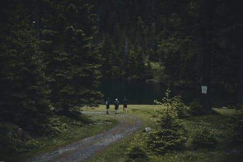 Photography of People Walking on Dirt Road