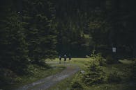 三个朋友在奥地利米特西尔一个宁静的高山湖畔，沿着森林小路散步