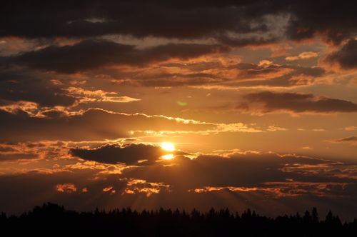 Free A breathtaking sunset with dramatic clouds and silhouetted trees, perfect for wall art. Stock Photo
