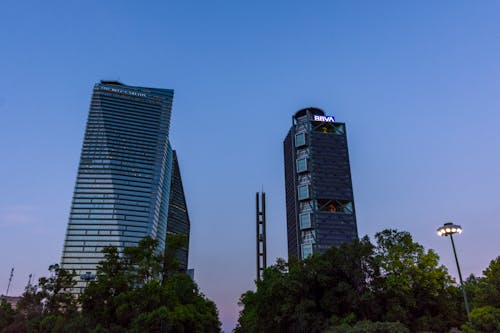 Low-Angle Shot of High Rise Buildings under the Blue Sky