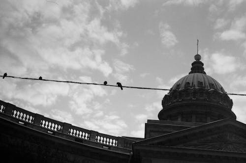 Birds on Wire near Building Dome