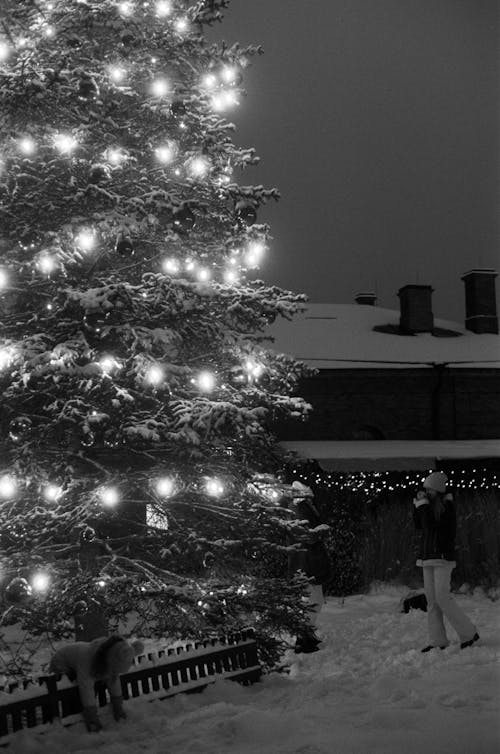 A Grayscale Photo of a Person Standing Near the Christmas Tree With Lights