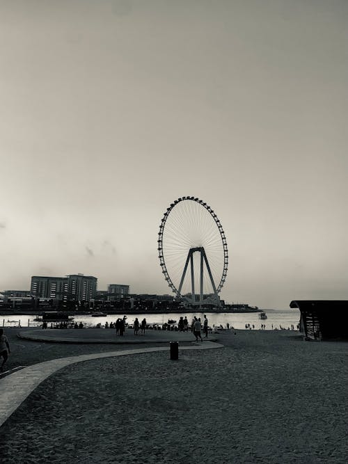 คลังภาพถ่ายฟรี ของ ที่ชายหาด