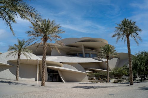 Palm Trees outside National Museum of Qatar