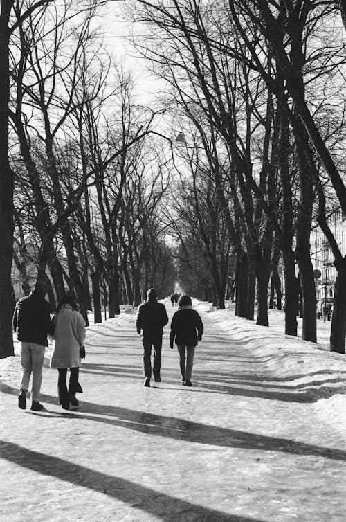 Grayscale Photo of People Walking on Park Between Trees