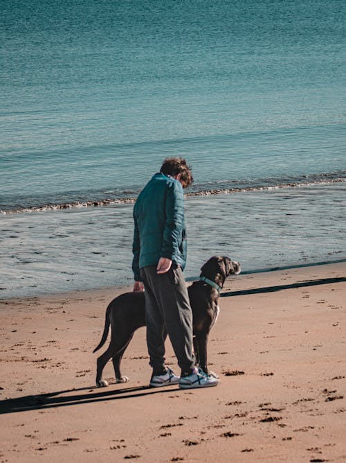 Man with a Dog in the Beach