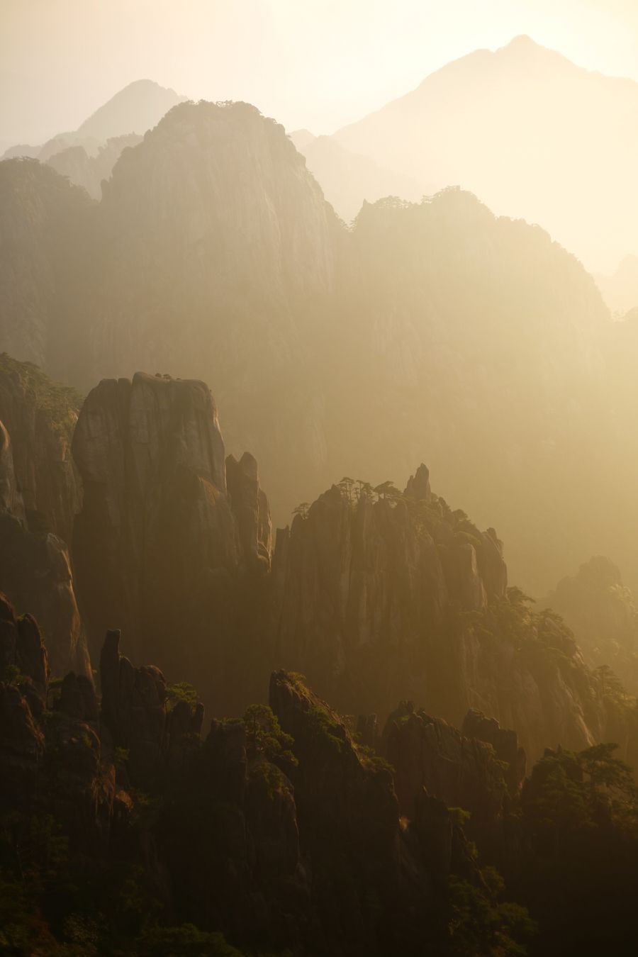 Picos da Montanha Amarela, Huangshan, envoltos em luz dourada