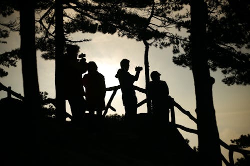 Free Silhouette of People Taking Videos and Pictures From the Hill Stock Photo