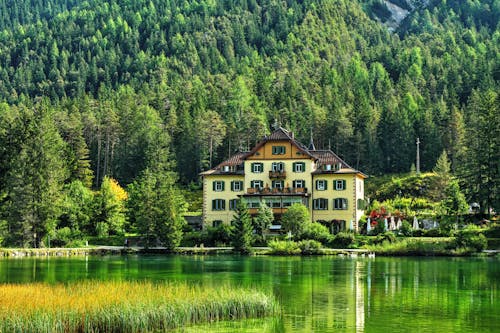 A House Between Green Trees Near the Lake