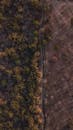 Aerial Photography of a Road near the Trees in the Forest