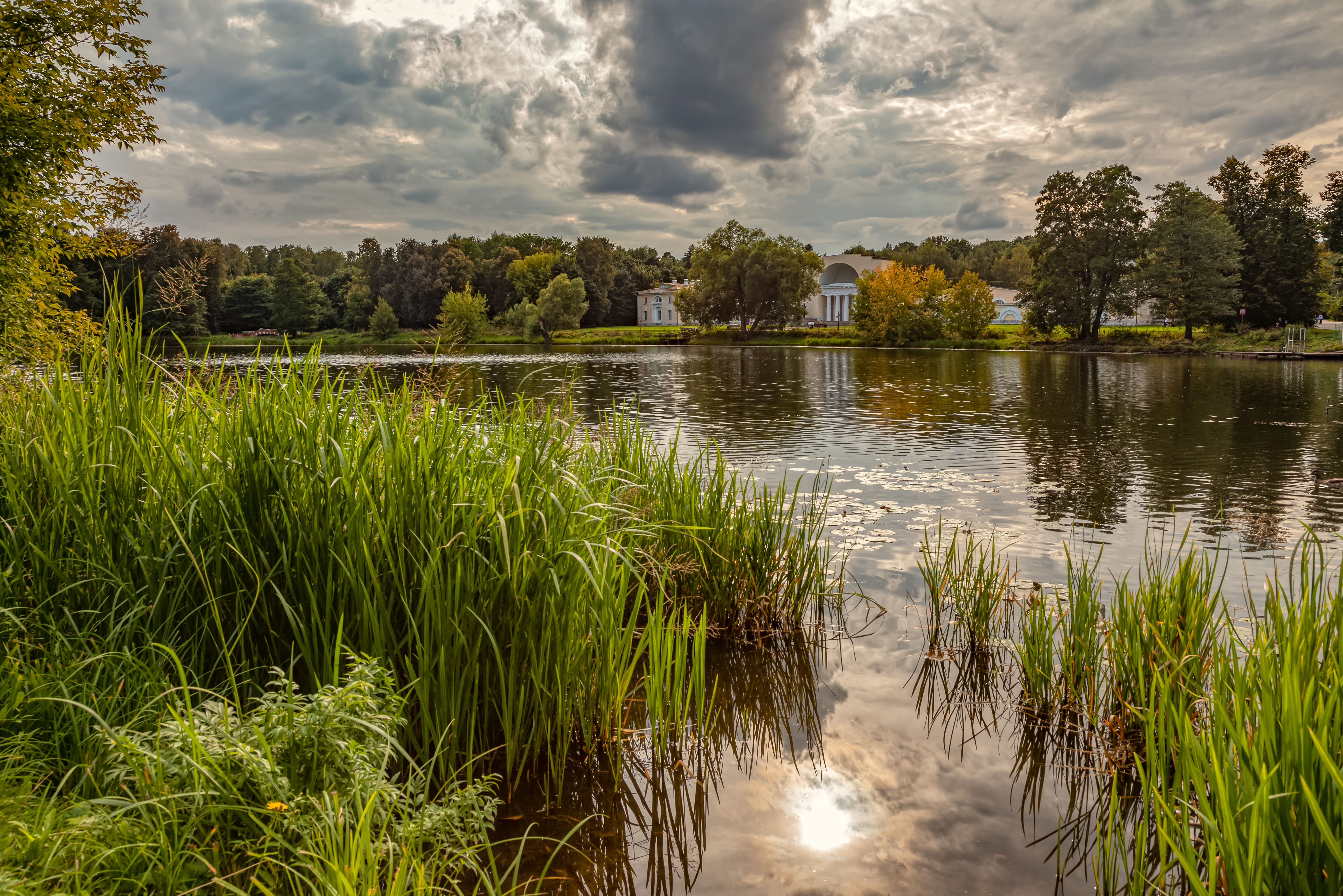 A Green Grass Near Body of Water Under the Cloudy Sky · Free Stock Photo