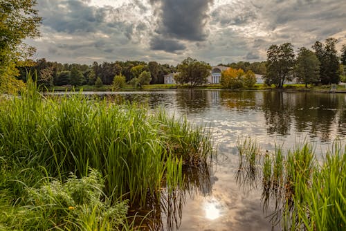 A Green Grass Near Body of Water Under the Cloudy Sky