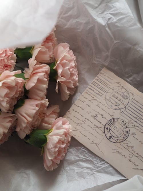 Pink Flowers and Postcard