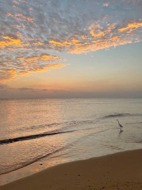 Foto d'estoc gratuïta de cel ennuvolat, horitzó, mar