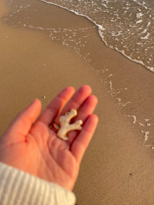 높은 각도보기, 모래, 바다의 무료 스톡 사진