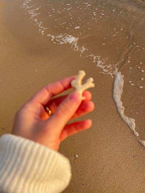 Immagine gratuita di acqua, bagnasciuga, litorale