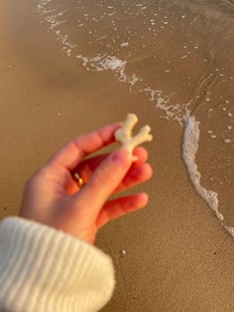 A close-up of a hand holding coral with ocean waves gently lapping the sandy beach.