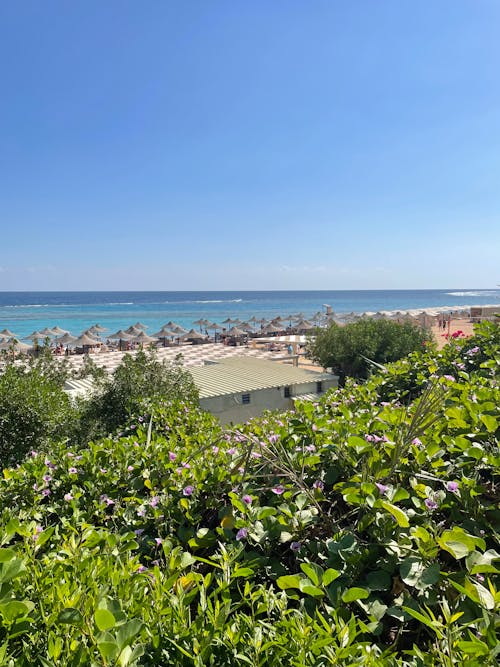 View of Cabanas in the Beach