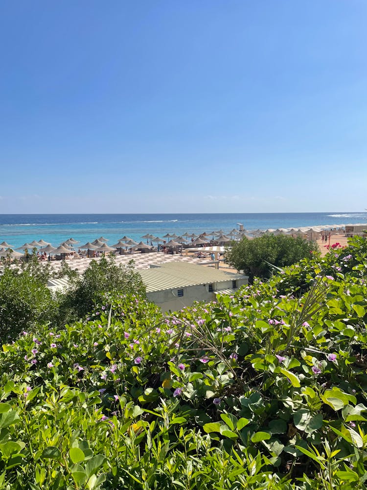 View Of Cabanas In The Beach