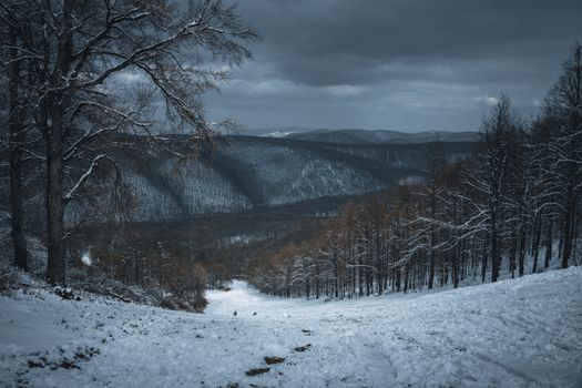 A scenic view of a snow-covered path in a winter mountain landscape under a gloomy gray sky.