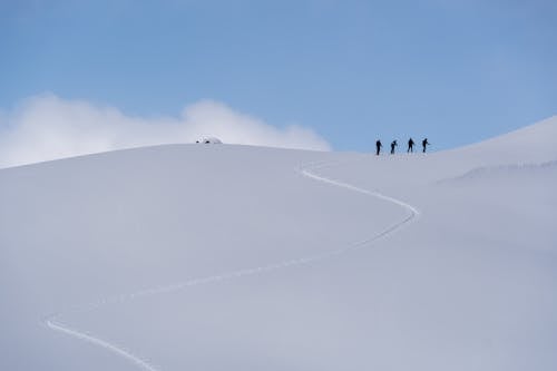 People Climbing on a Snow Covered Mountain