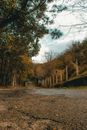 Brown Wooden Bridge over River