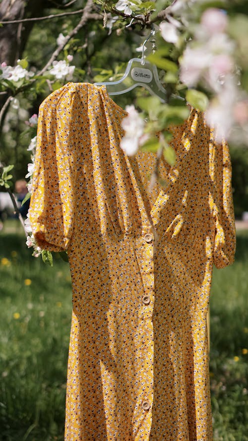 나무, 노란 드레스, 매달린의 무료 스톡 사진
