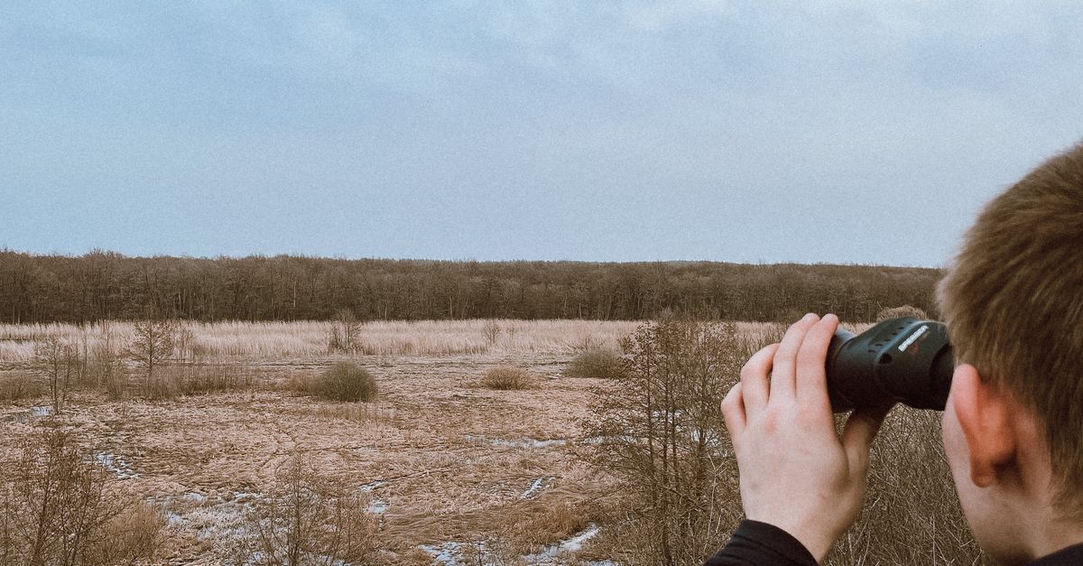 Person Using a Telescope · Free Stock Photo