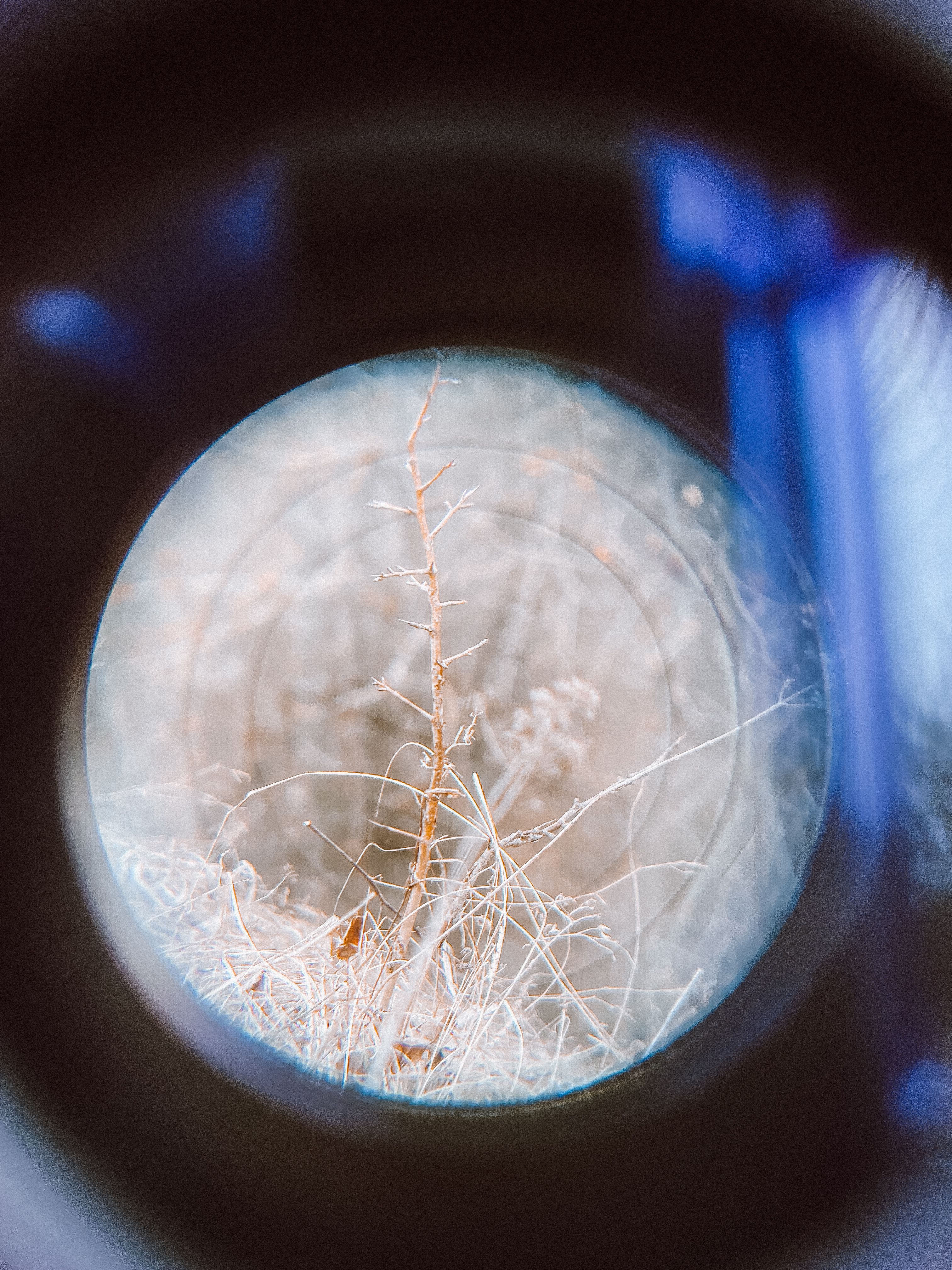 Unique perspective of frosted branches seen through a camera lens during winter.