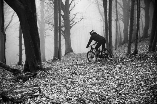 Daring mountain biker navigating through a foggy forest in Finale Ligure, Italy.