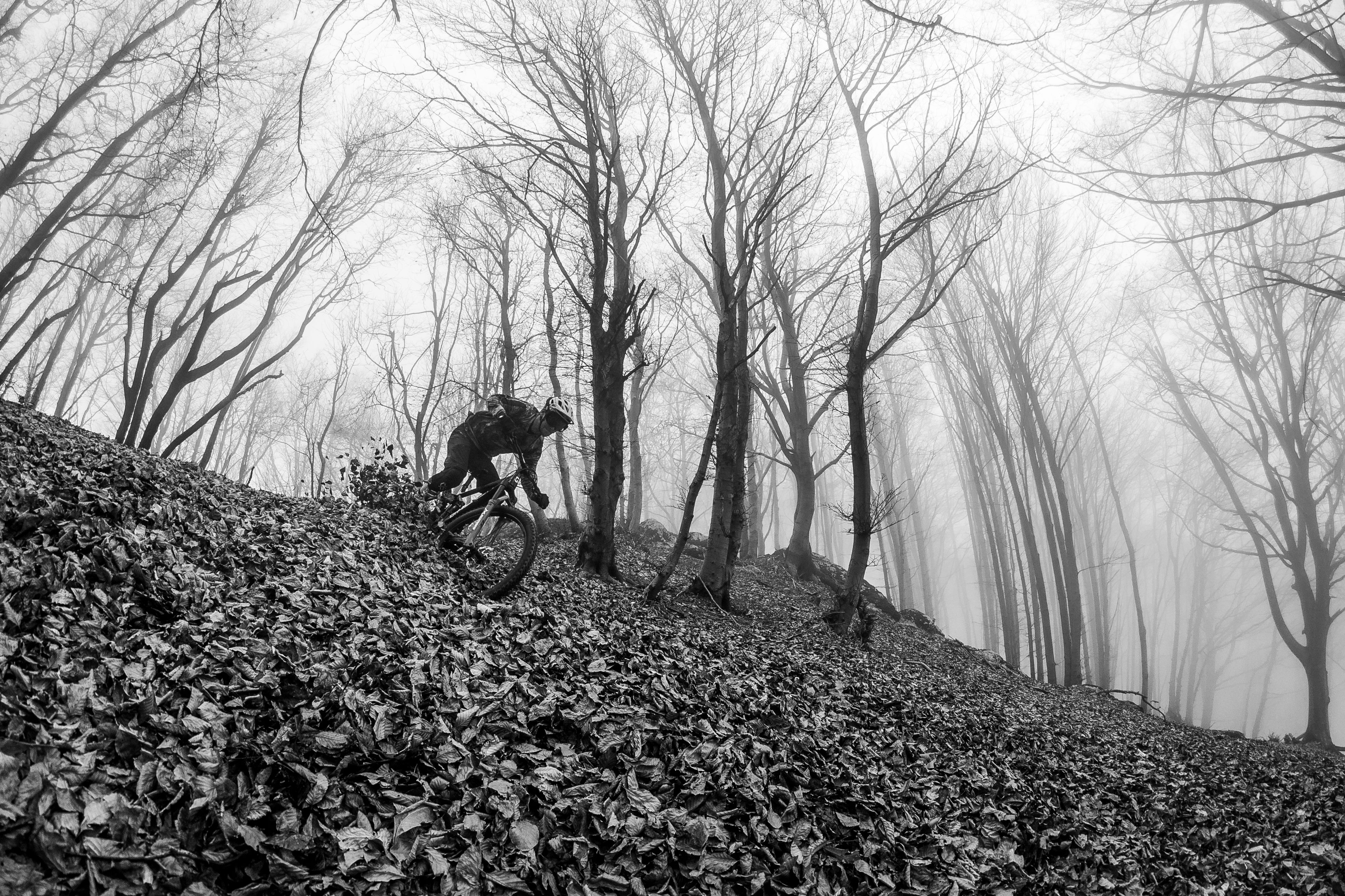 A lone mountain biker rides through a foggy forest trail, embodying adventure and solitude.
