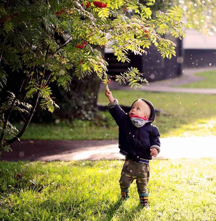 Cute Baby Boy Near Tree 