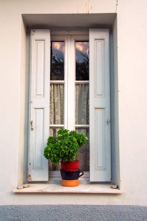 Foto stok gratis Daun-daun, jendela, rumah