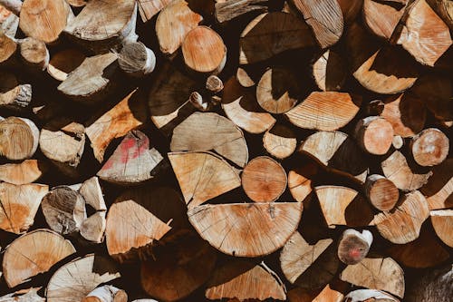 Close-up of a Stack of Firewood 