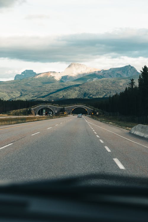 Foto d'estoc gratuïta de carretera, paisatge, rural