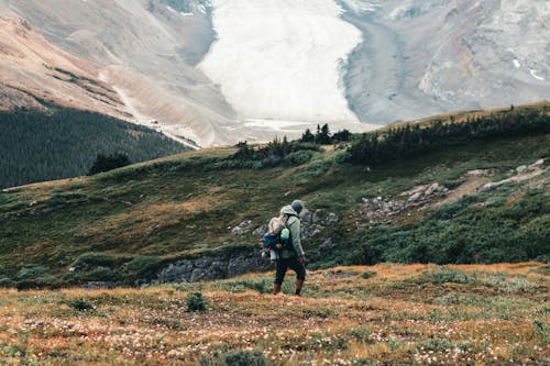 Foto d'estoc gratuïta de caminant, Canadà, excursió