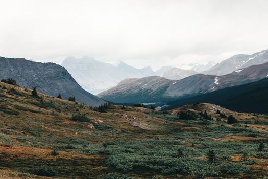 Breathtaking view of the rugged mountains and verdant meadows in Jasper National Park, Alberta.