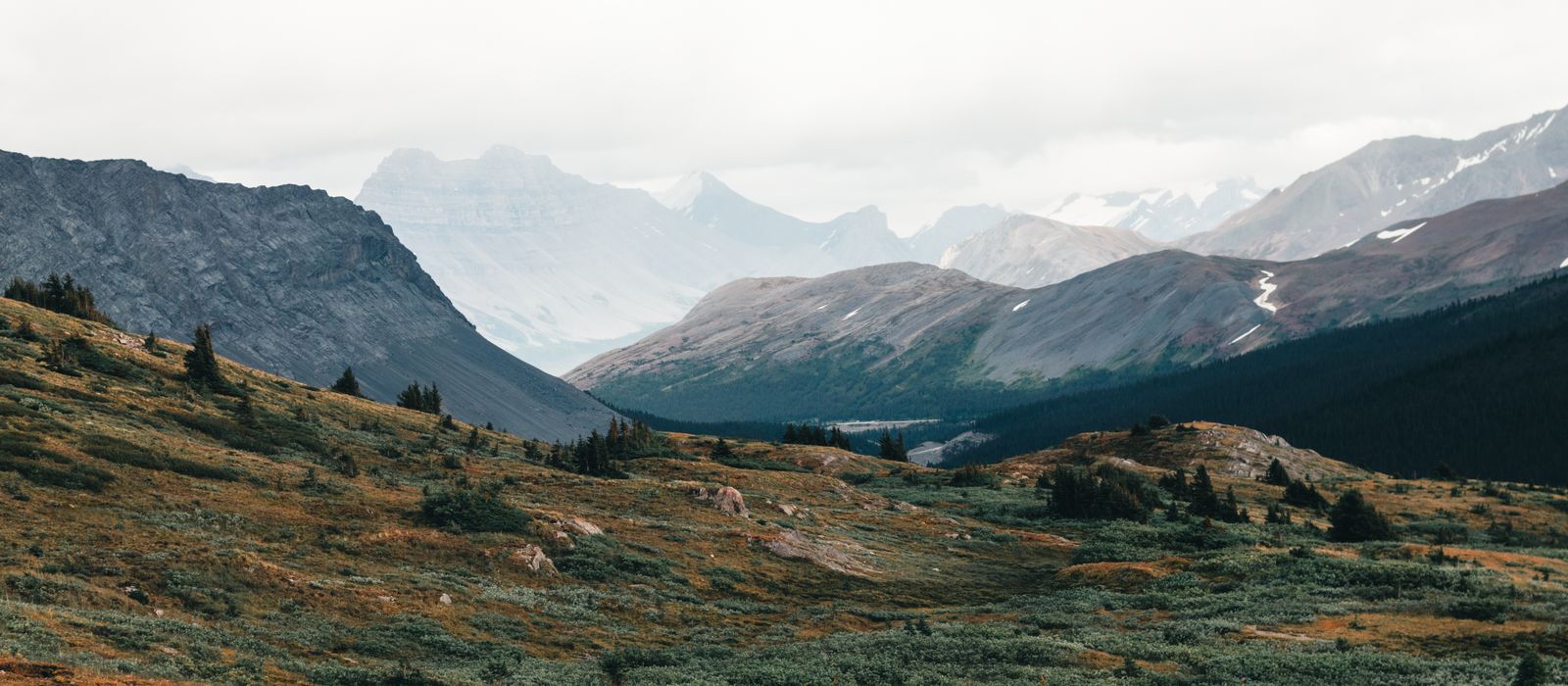 Breathtaking view of the rugged mountains and verdant meadows in Jasper National Park, Alberta.