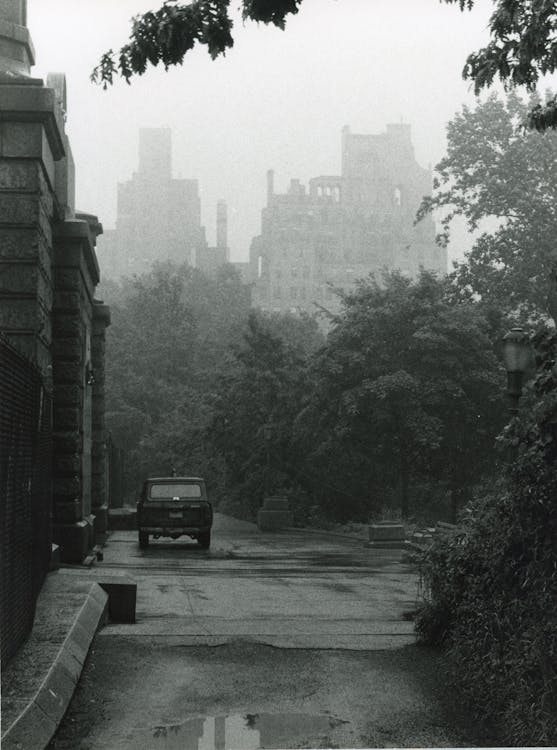 A Car in a City