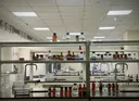 Glucagon Receptor Agonists for Weight Loss: How Retatrutide and Next-Gen Incretins Work