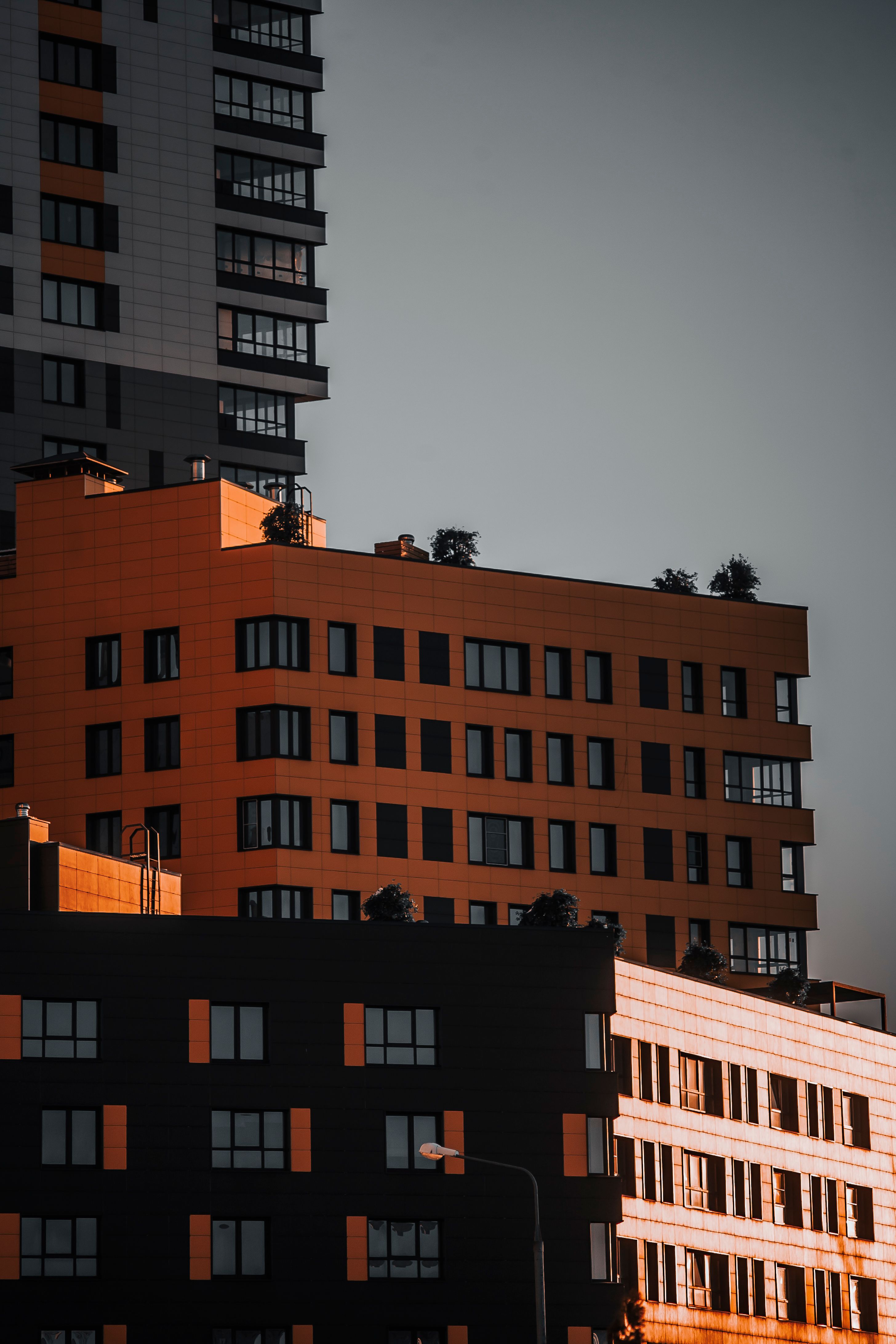 View of Introduction | City Living: How Urban Spaces and Urban Dwellers Make ...