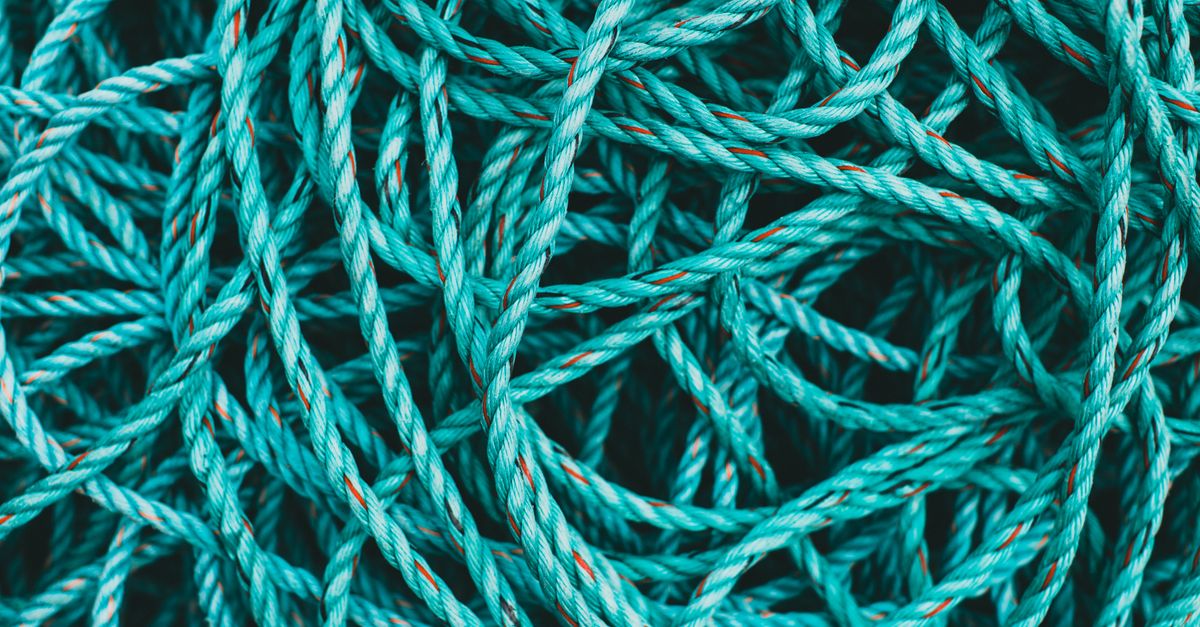 CNET Publishes Strands Hints and Answers for Puzzle No. 958