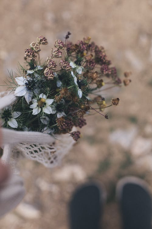 Close-up Photo of a Bouquet of Flowers