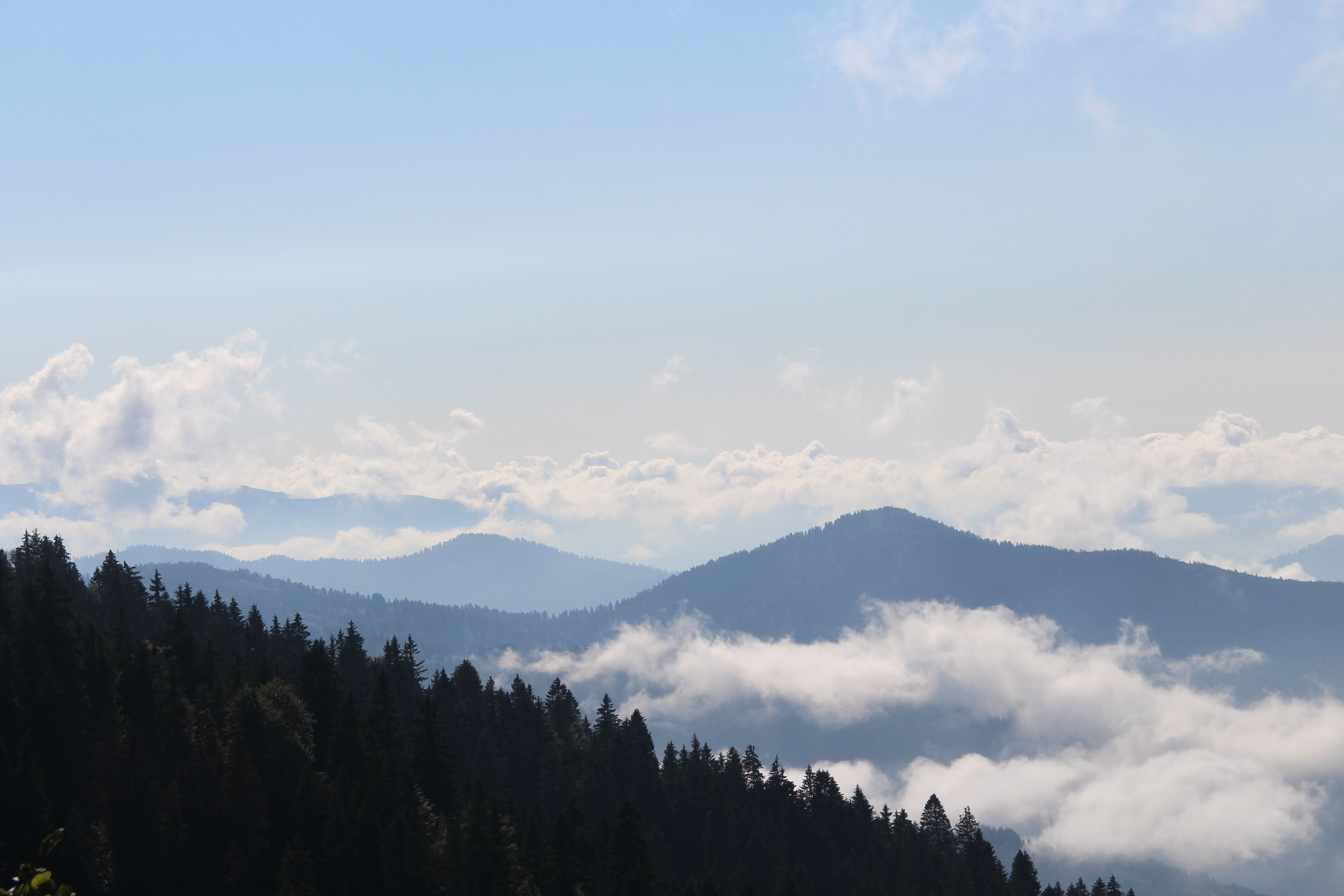 Green Trees on Mountain Under White Clouds · Free Stock Photo