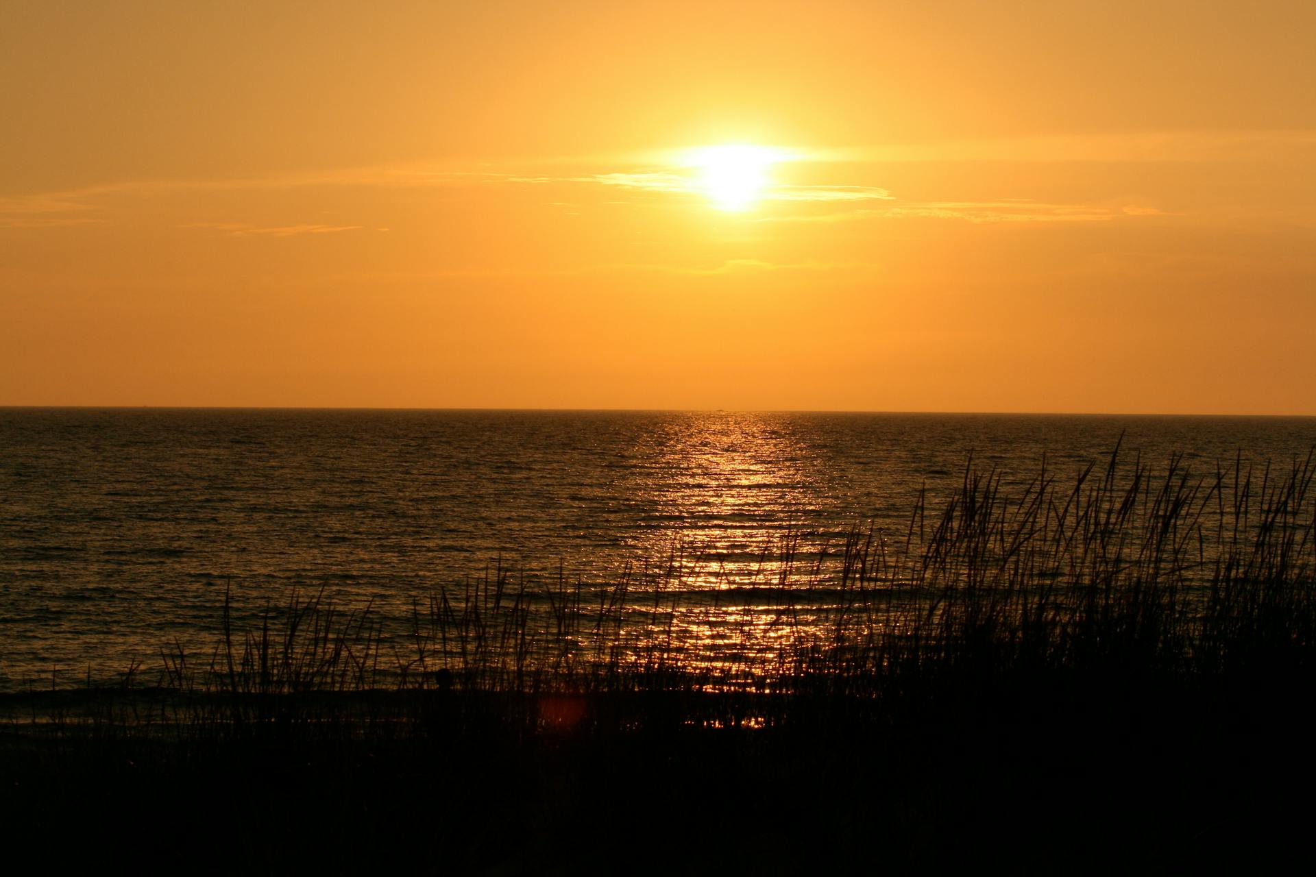 Capture of a golden sunset over Lake Michigan with serene waves and grasses in silhouette.