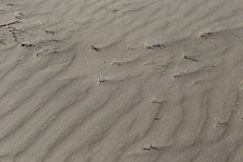 Free Foot Prints on Brown Sand Stock Photo