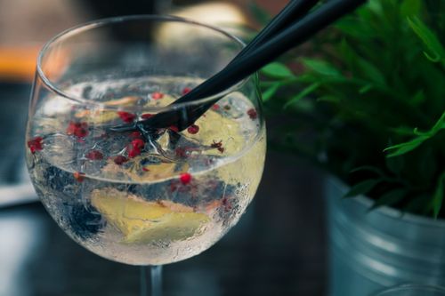 Free Close-up of a refreshing gin and tonic with lemon, ice, and berries garnishment. Stock Photo