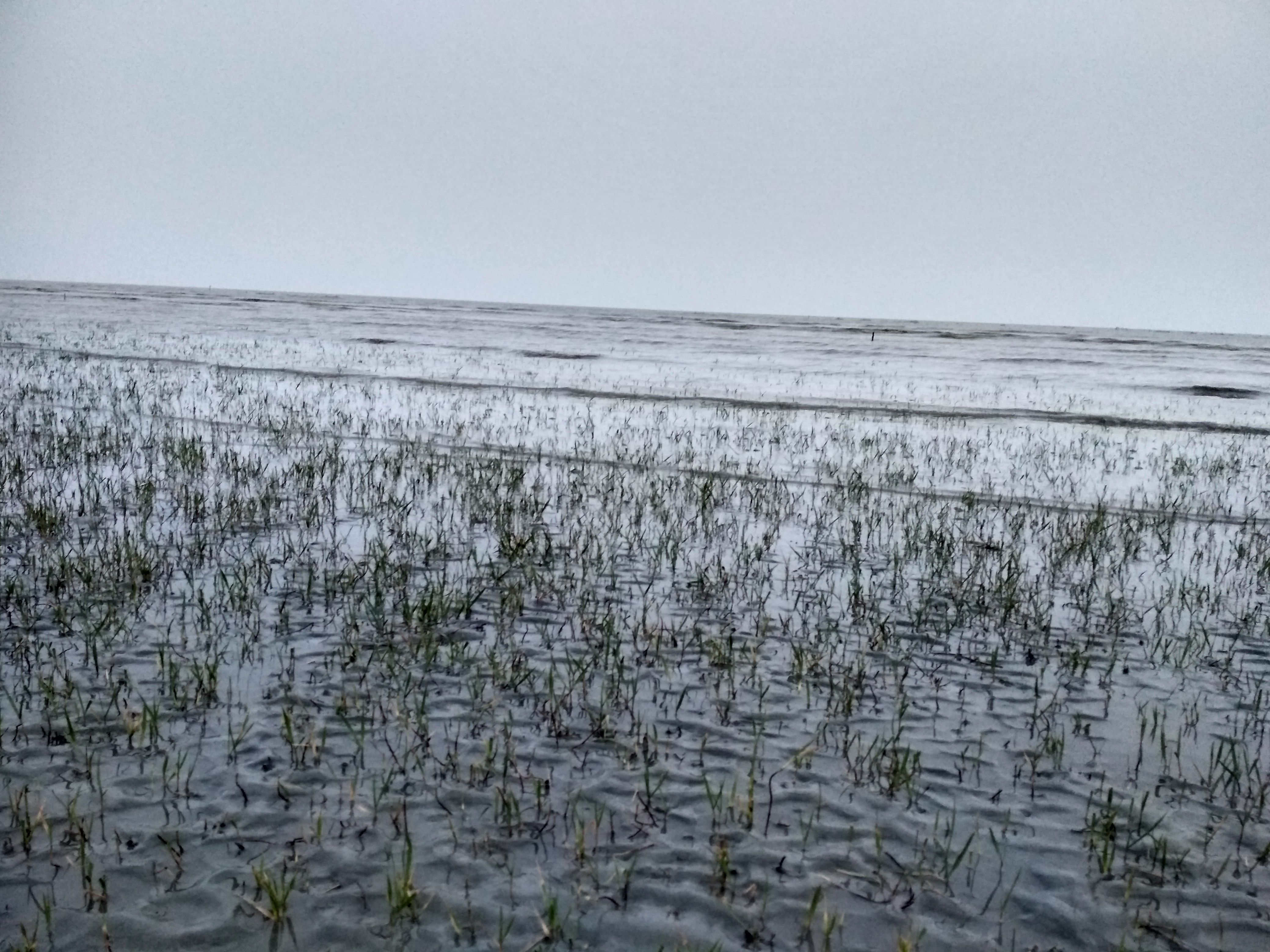Paddling in the safe shallows at the water's edge