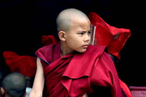 仏教, 伝統文化, 伝統的な服の無料の写真素材